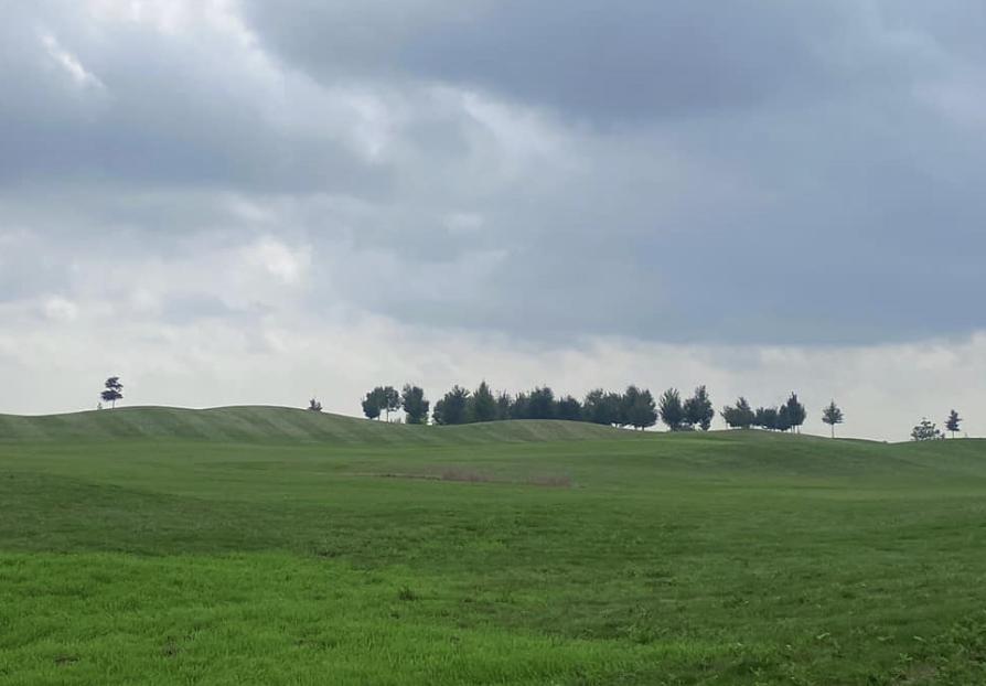 Ilustrační obrázek