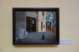 Ilustrační obrázek, text v článku