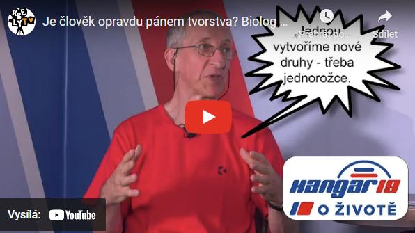 Ilustrační obrázek, text v článku