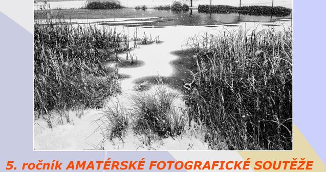 Ilustrační obrázek, text v článku