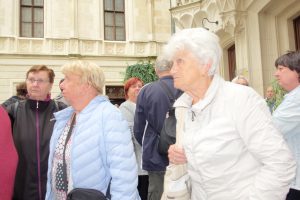 Ilustrační obrázek, text v článku