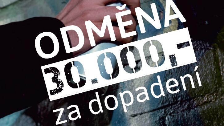 Ilustrační obrázek, text v článku