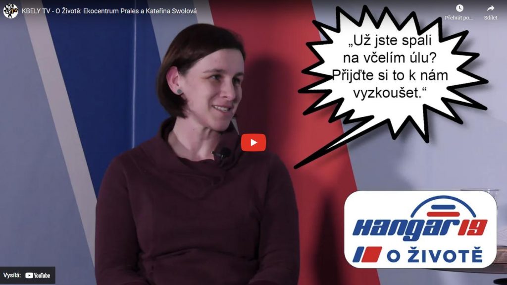 Ilustrační obrázek, text v článku