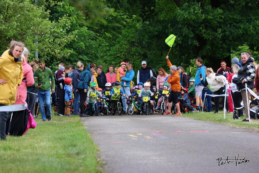 Ilustrační obrázek, text v článku