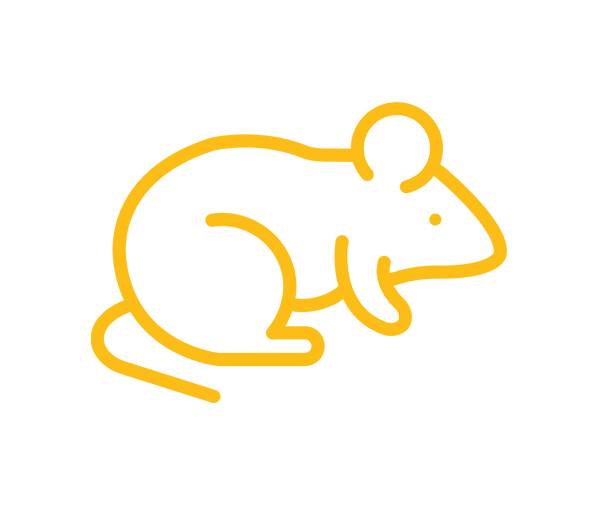 Ilustrační obrázek, text v článku