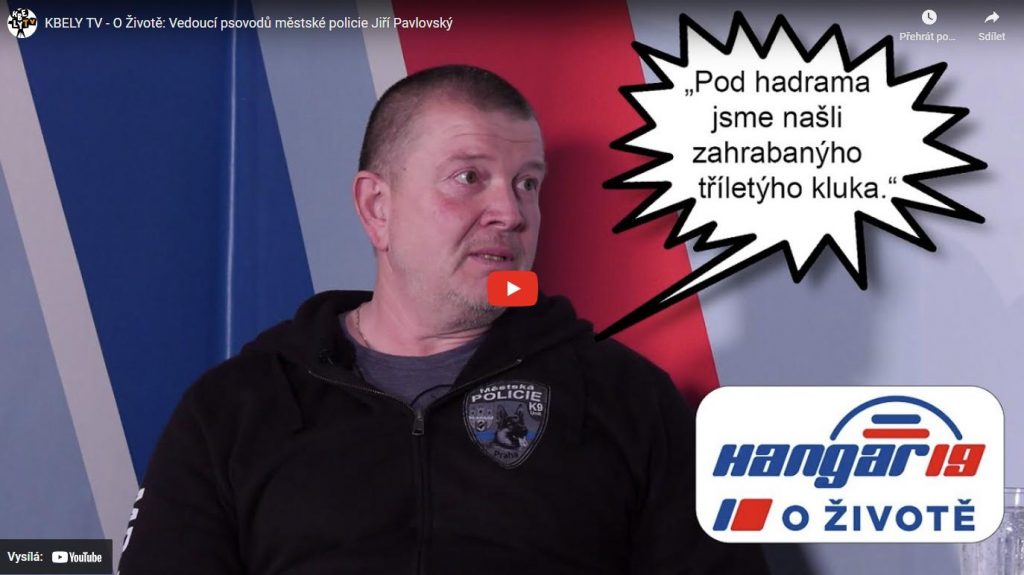 Ilustrační obrázek, text v článku