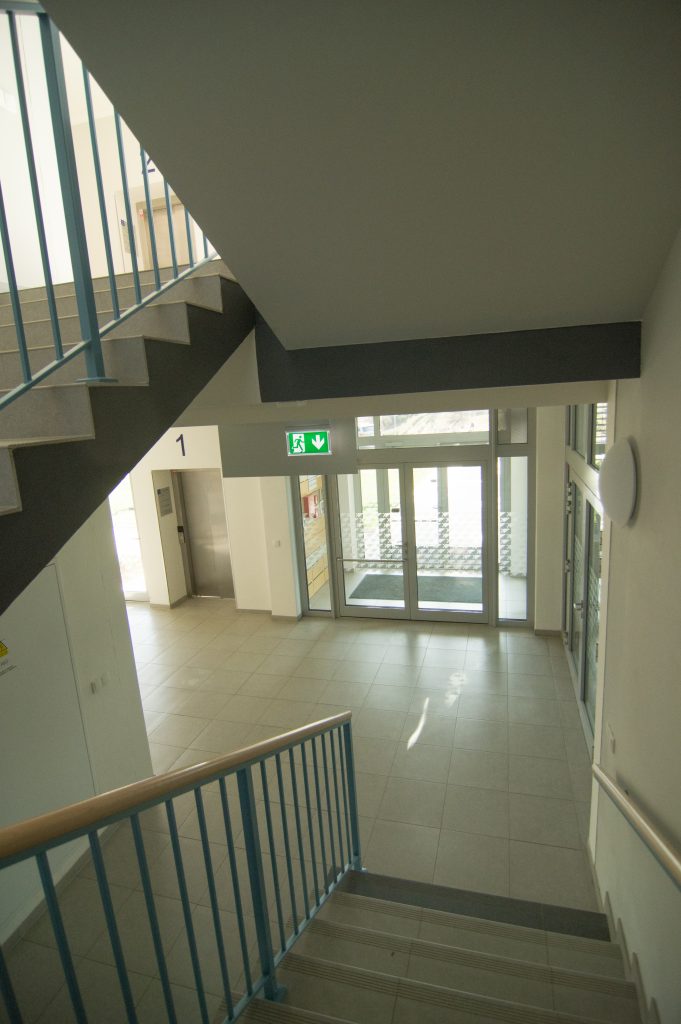 Ilustračn&iacute; obr&aacute;zek, text v čl&aacute;nku