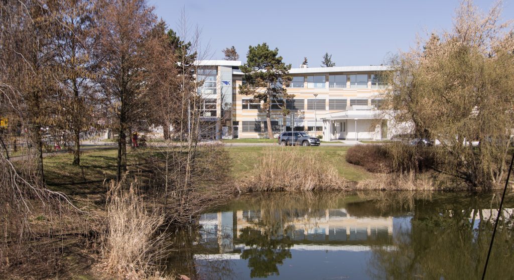 Ilustračn&iacute; obr&aacute;zek, text v čl&aacute;nku