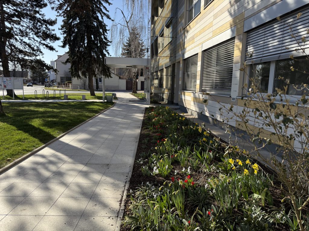 Ilustračn&iacute; obr&aacute;zek, text v čl&aacute;nku