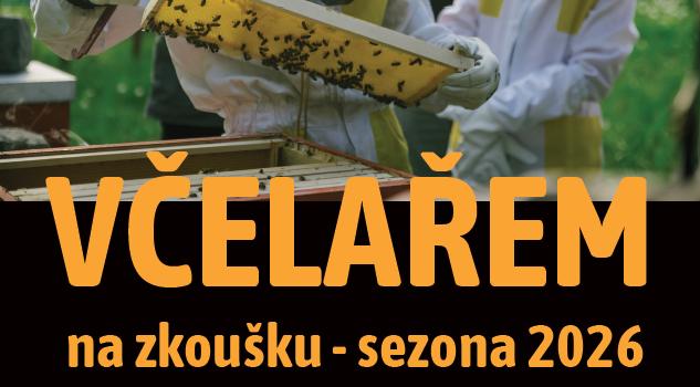 Ilustrační obrázek, text v článku