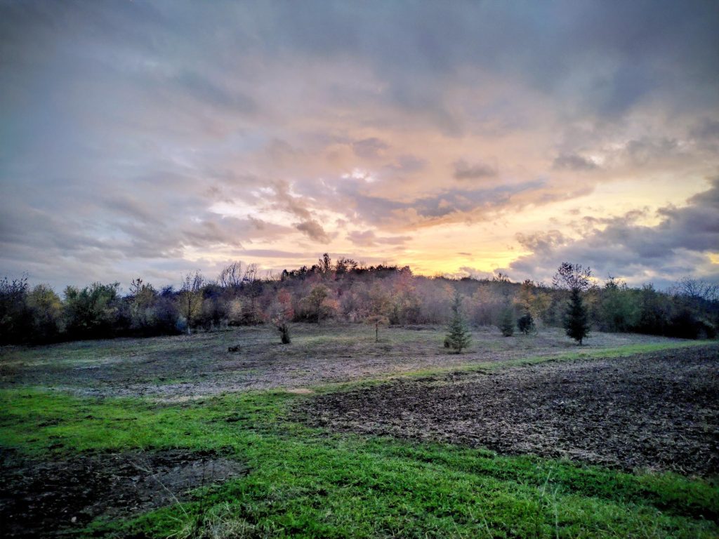 Ilustrační obrázek, text v článku