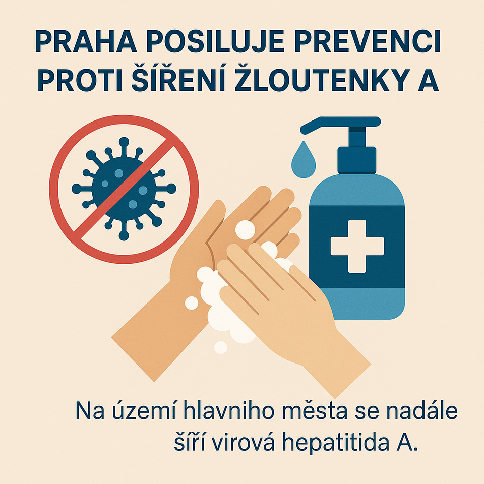 Ilustrační obrázek, text v článku